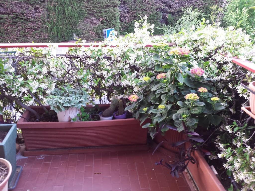 La Fontana Di Carlotta Bed & Breakfast Рим Екстериор снимка